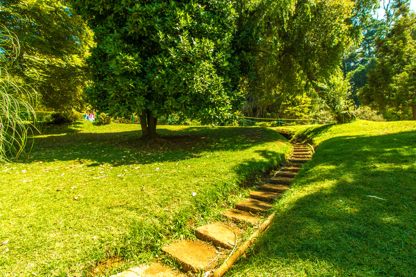 ooty-coonoor
